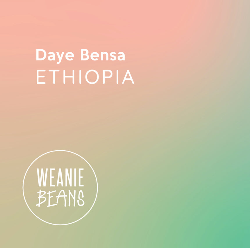 Daye Bensa, Ethiopia