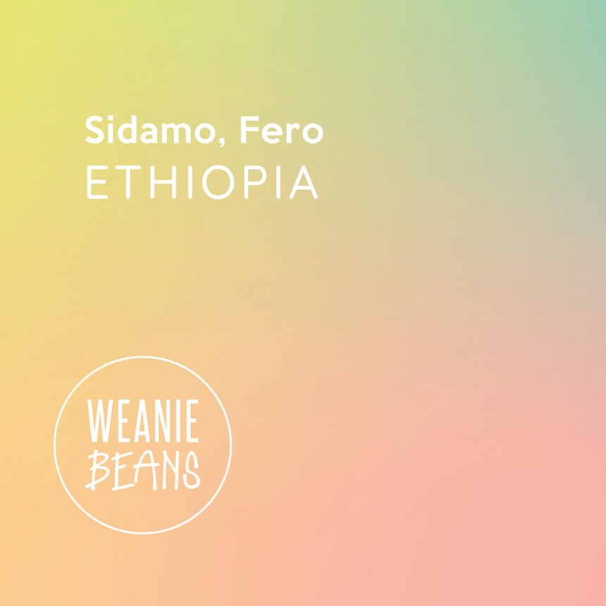 Ethiopia, Sidamo, Fero