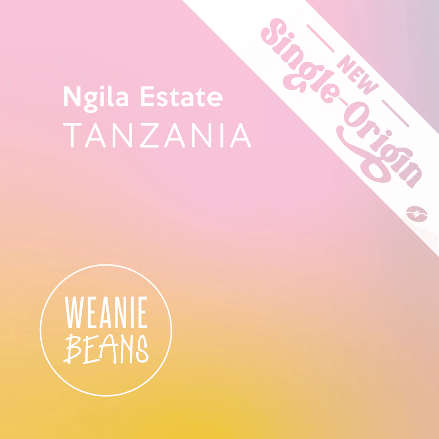 Tanzania, Ngila Estate