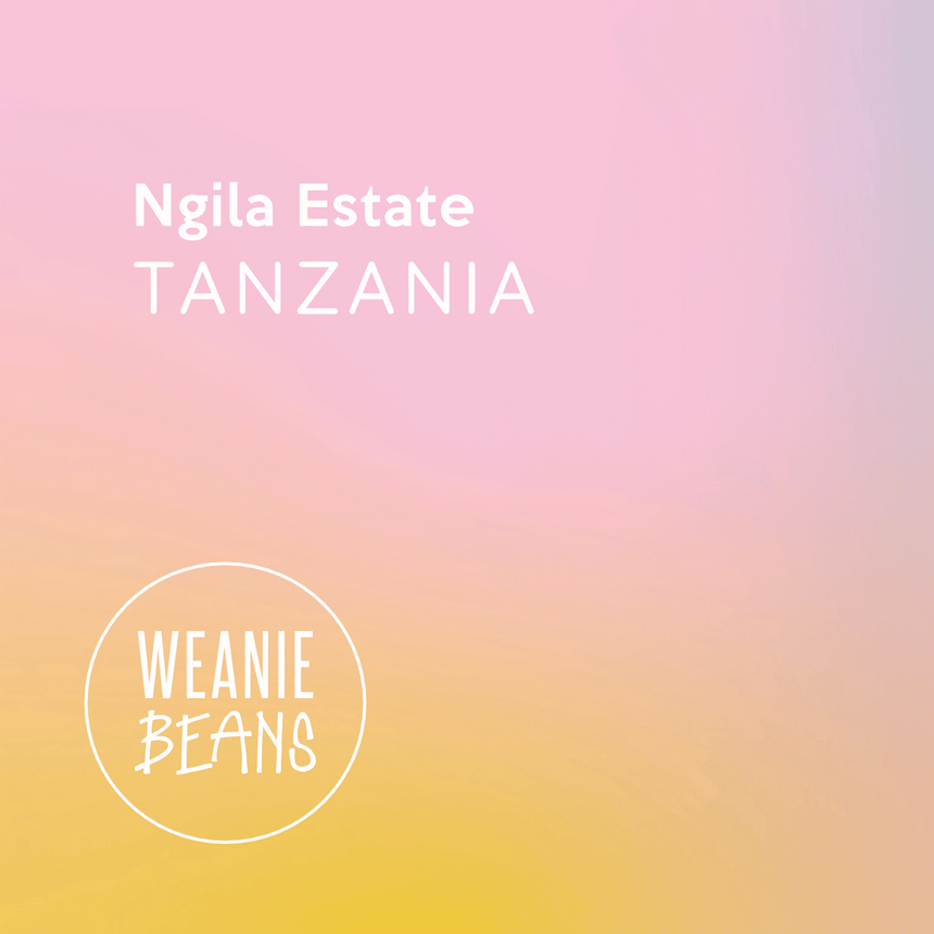Tanzania, Ngila Estate